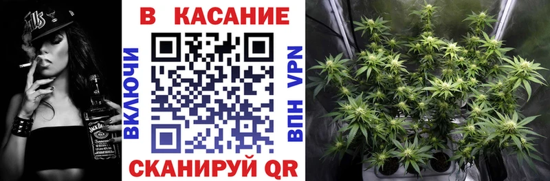 Где купить наркотики Белово Кокаин Бошки Шишки